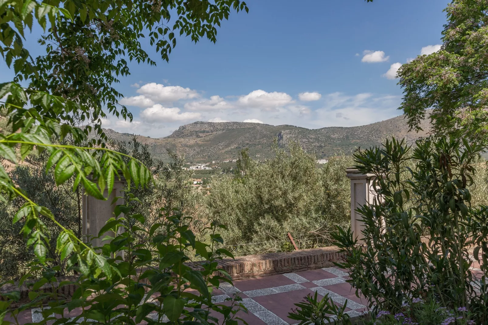 Cortijo La Mimbre-Uitzicht zomer