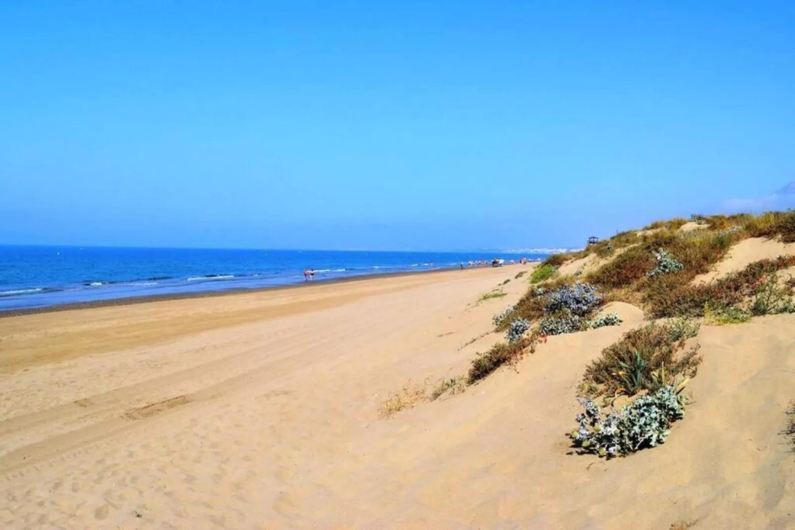 Golden Beach house-Gebieden zomer 20km