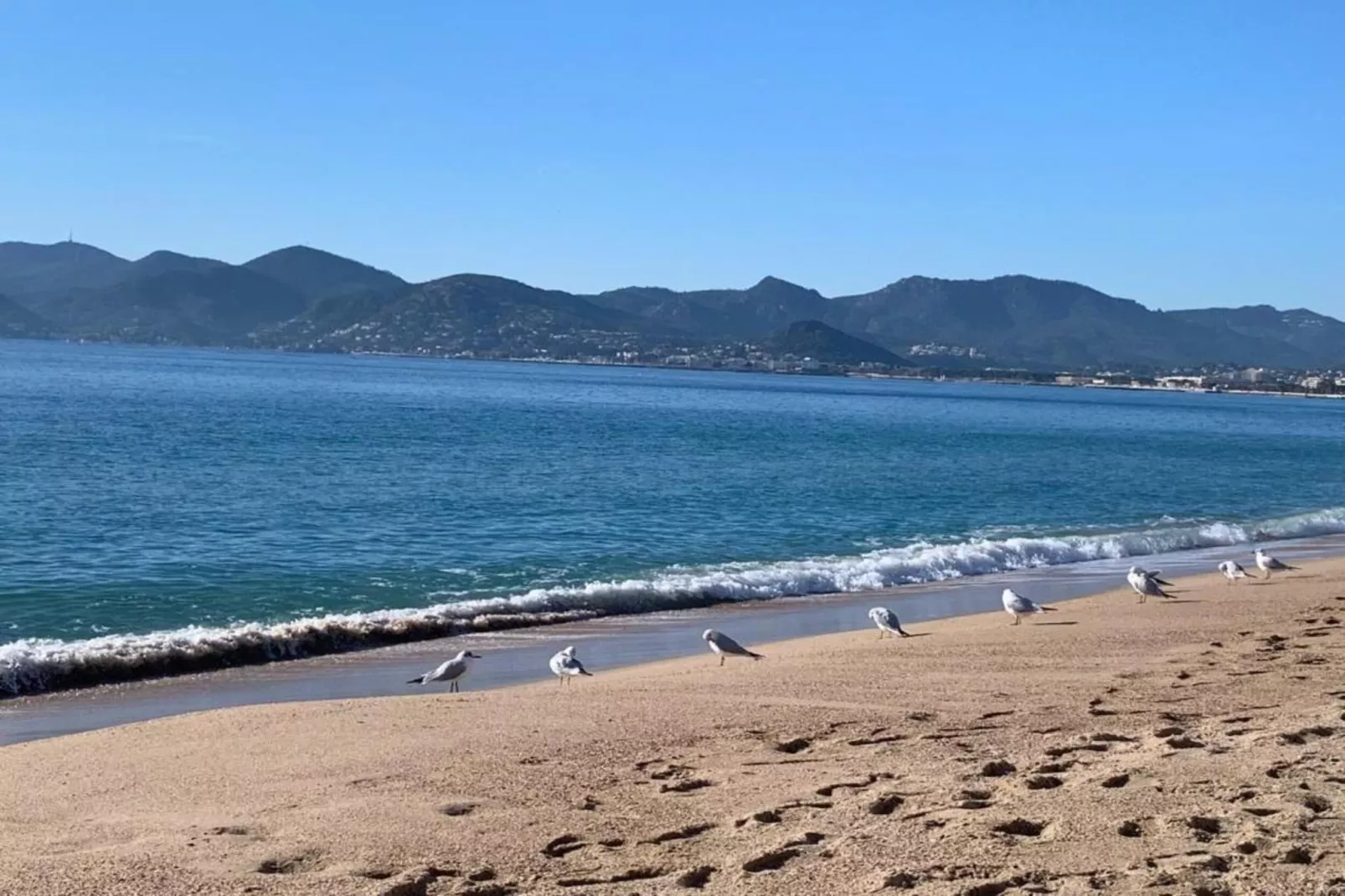 Vue mer-Gebieden zomer 1km