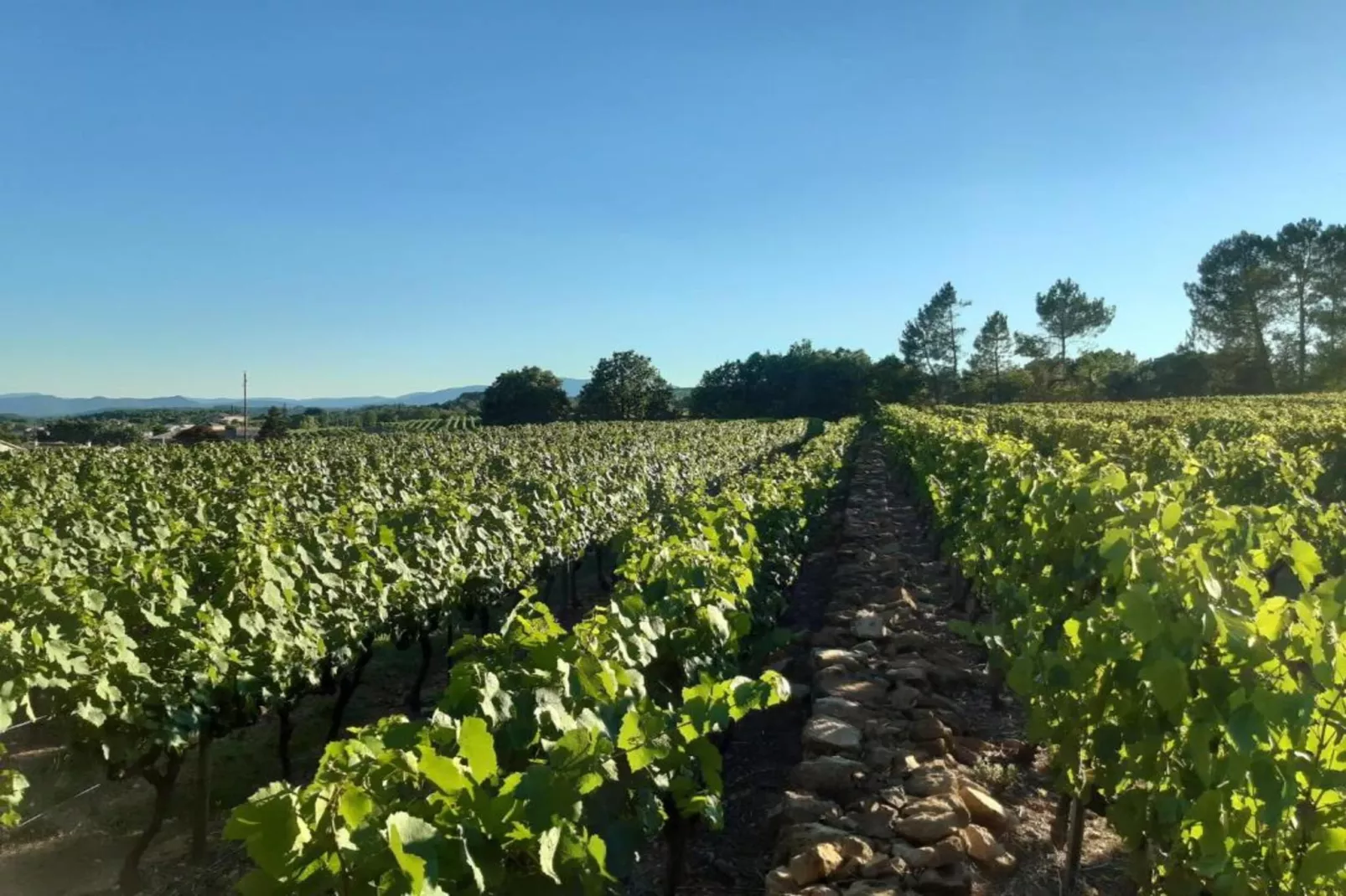 Maison de vacances - Lablachère nord-Gebieden zomer 20km