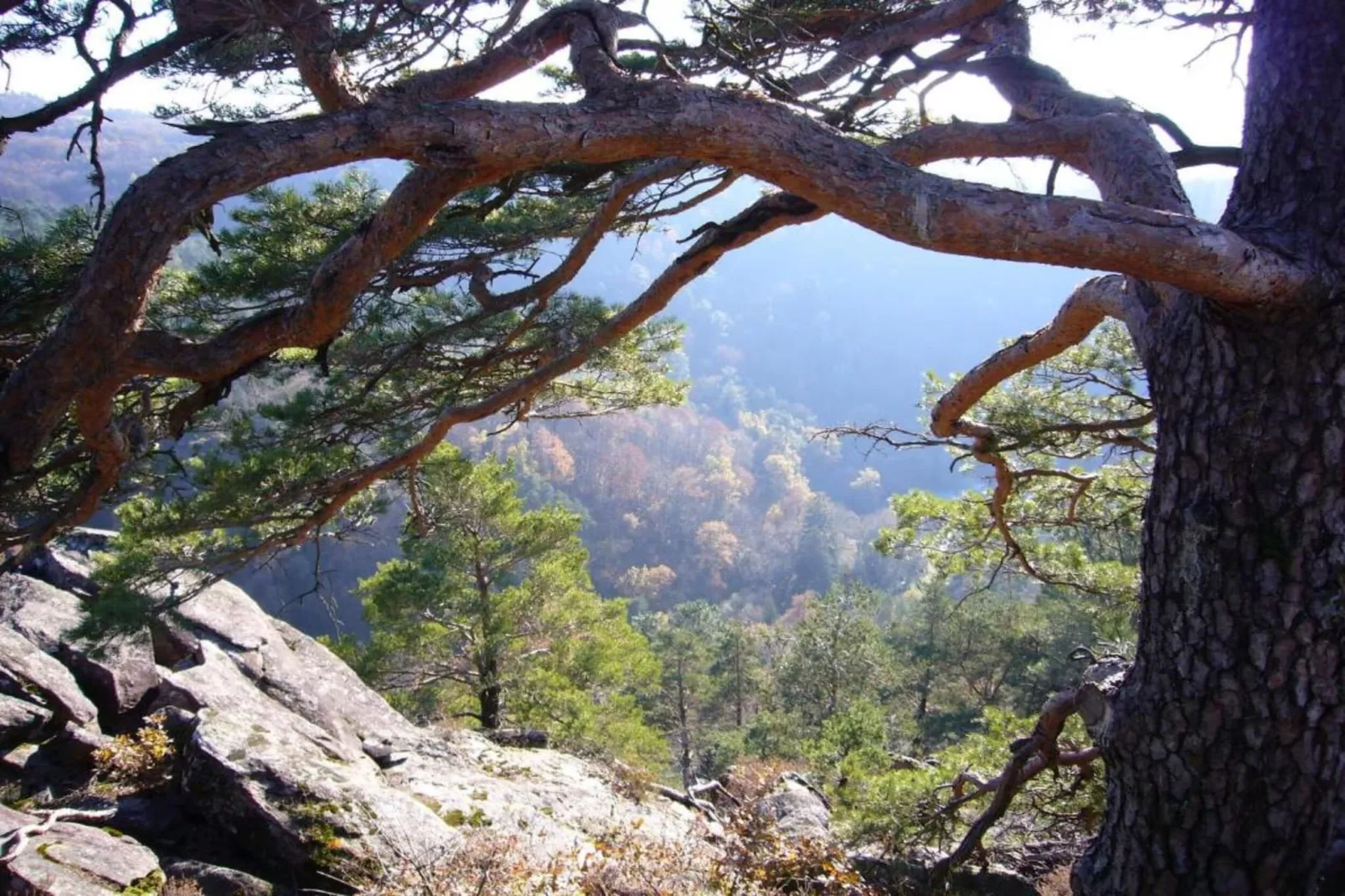 Malemort-Gebieden zomer 20km