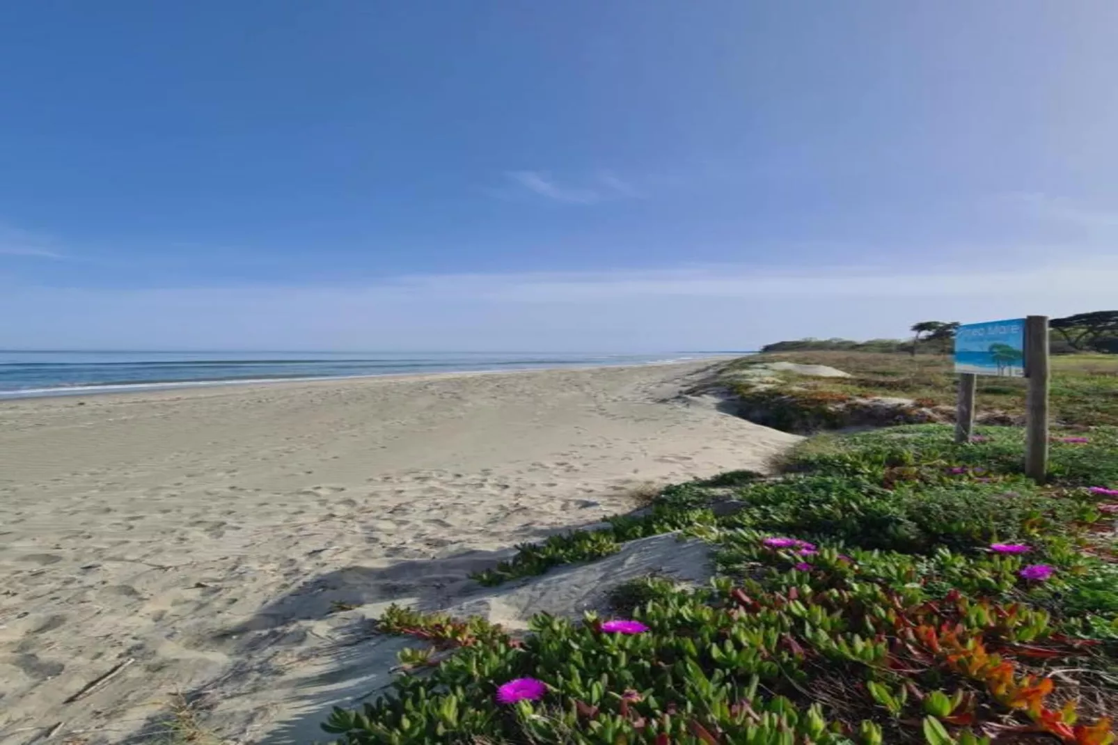 Résidence le Maquis Plage Studio-Gebieden zomer 1km
