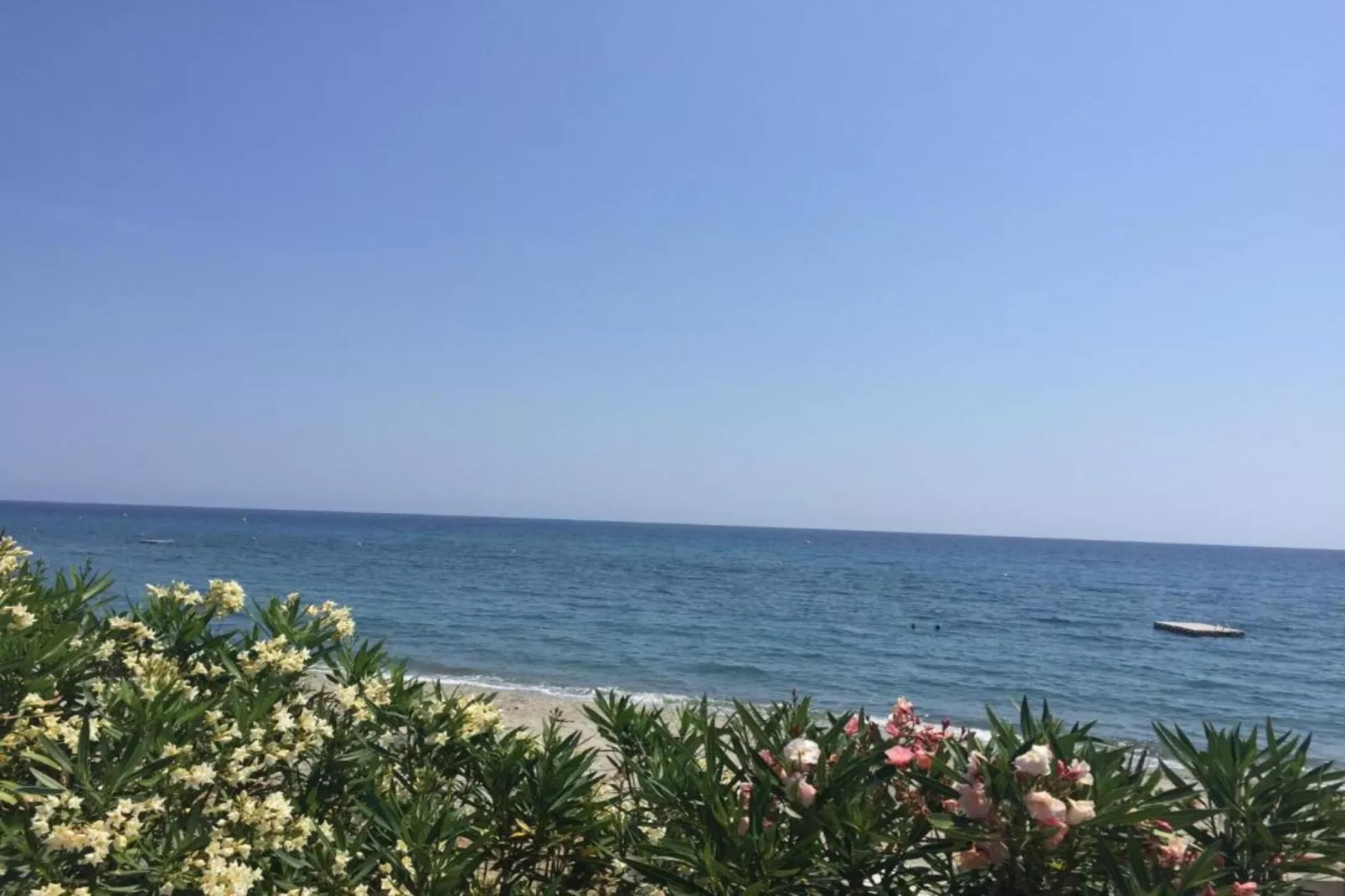 Atlantide-Gebieden zomer 1km