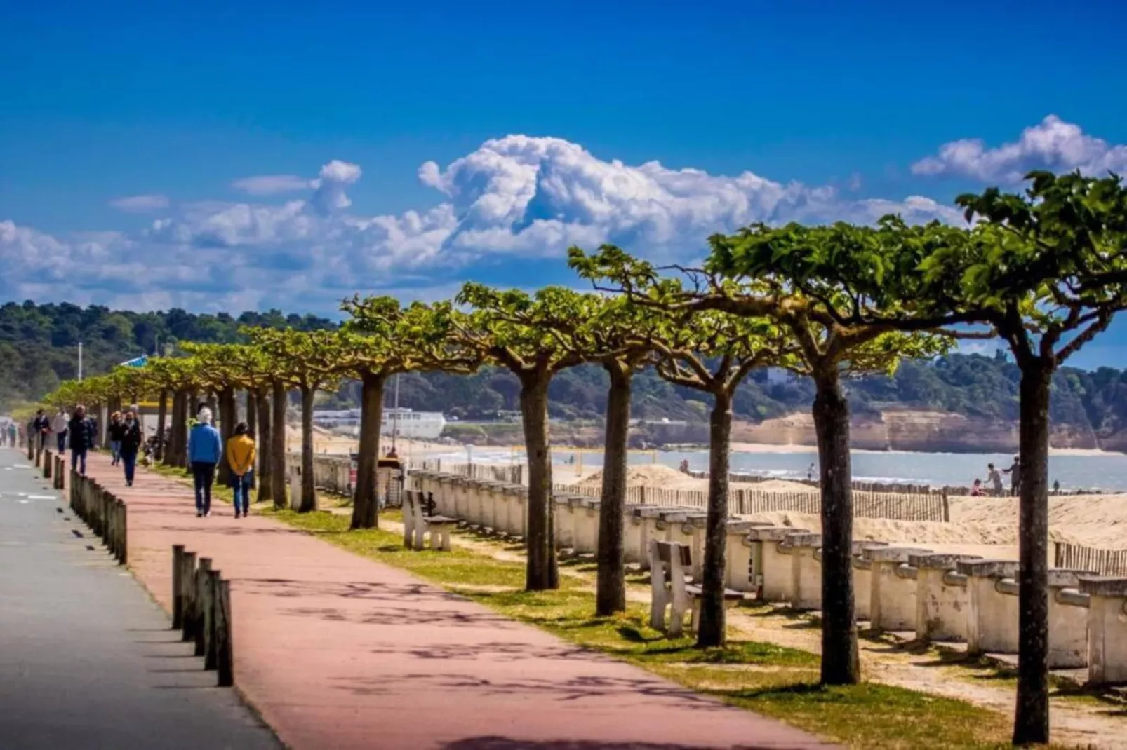 Maison de vacances Salles de Belvès-Gebieden zomer 20km