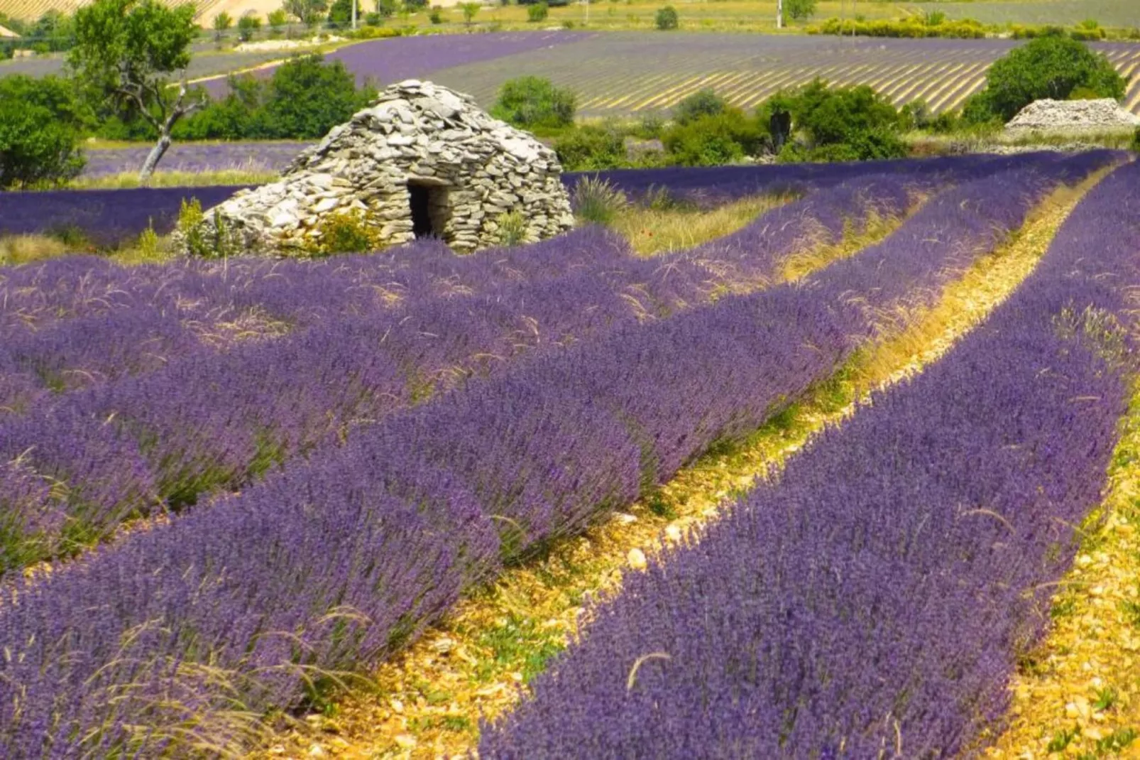 Chateau des Gipières-Gebieden zomer 5km