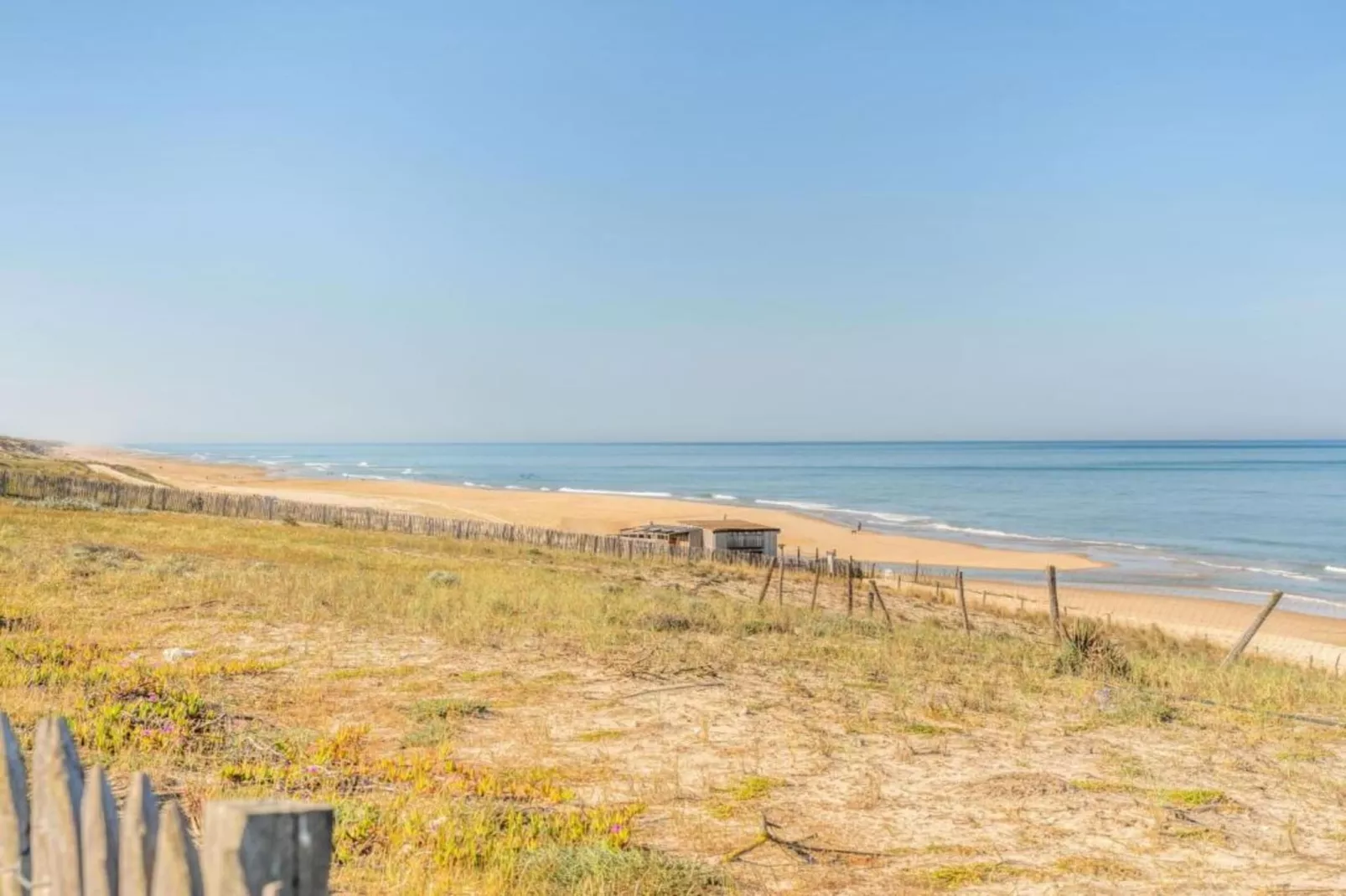 Atlantic Green 1-Gebieden zomer 20km