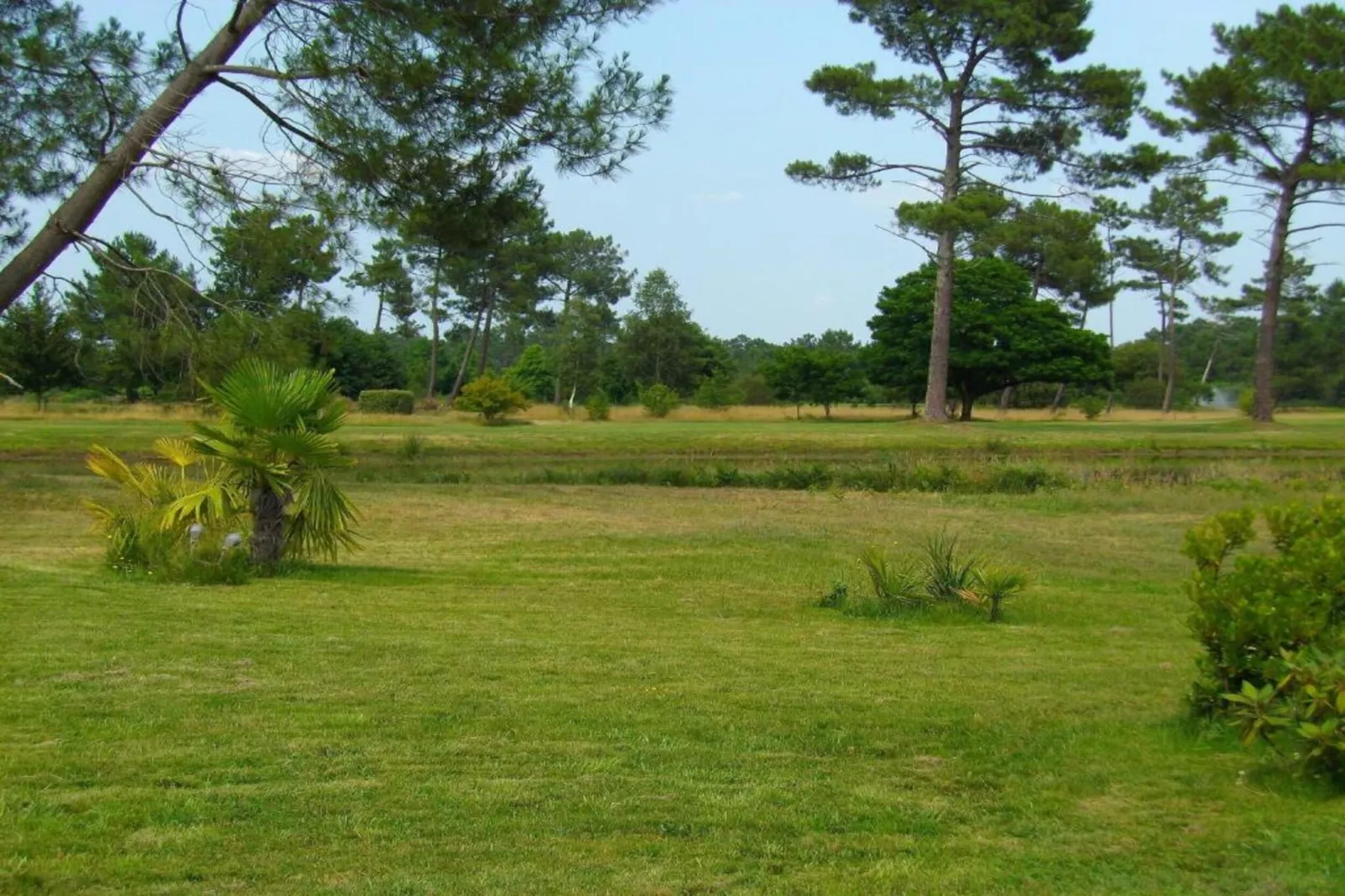 Les Greens du Bassin 4-Gebieden zomer 5km