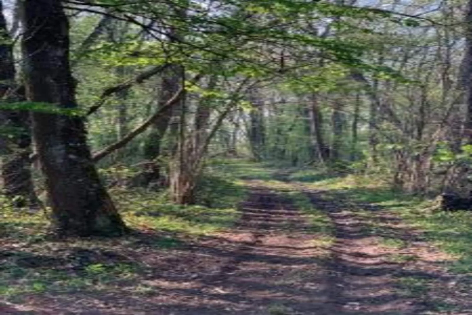 Maison de vacances - CHILLEURS-AUX-BOIS-Gebieden zomer 20km