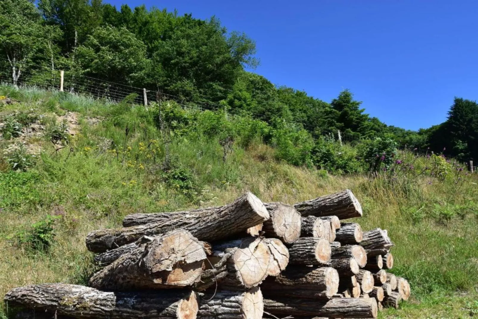 Maison de vacances Tannay-Gebieden zomer 20km