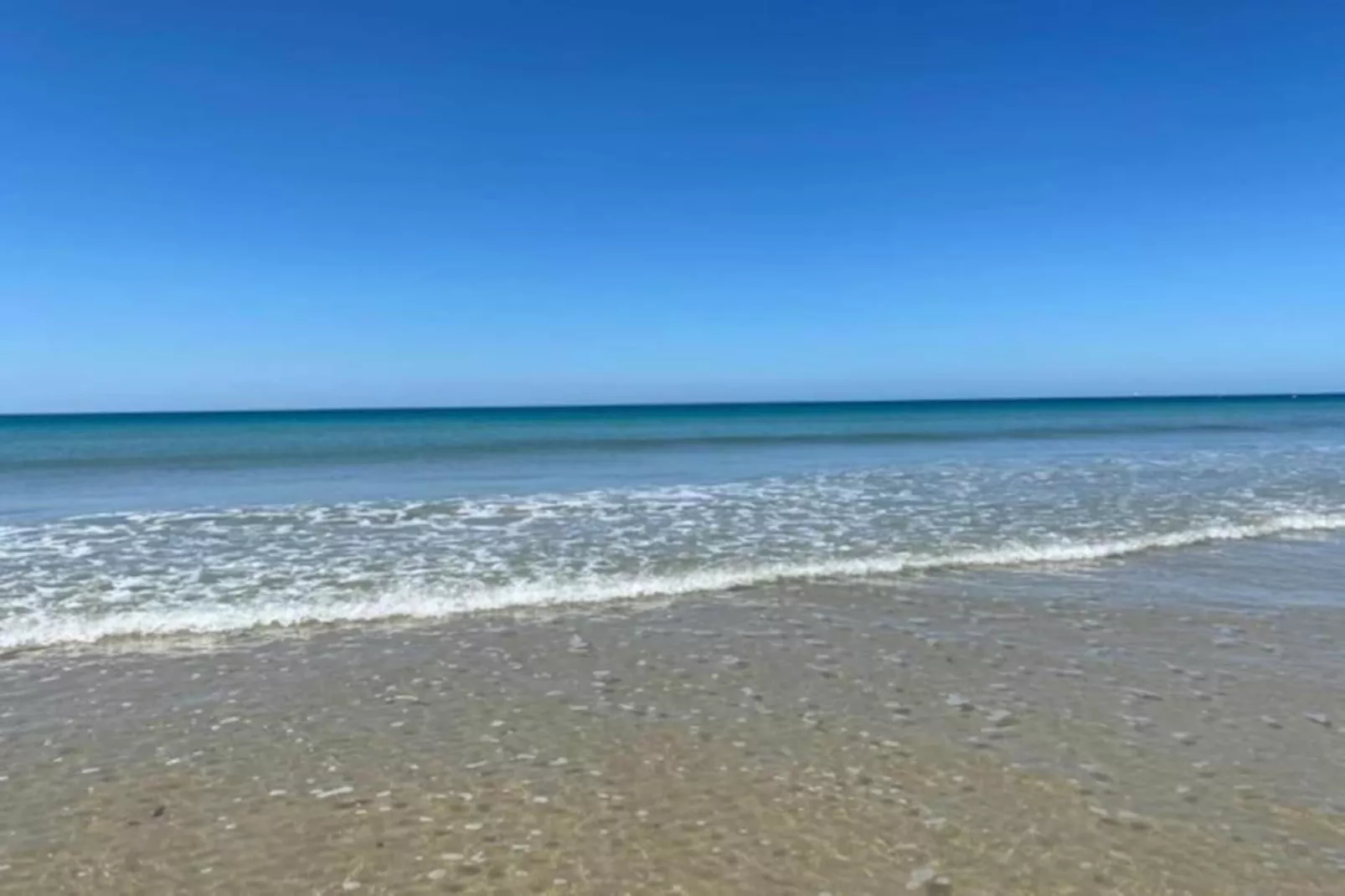 Maison de vacances - LE PONCHEL-Gebieden zomer 20km
