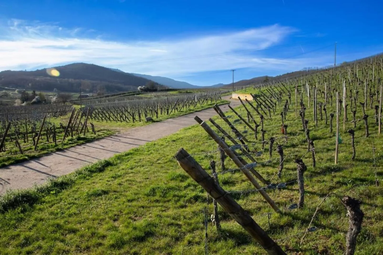 Le Domaine des Rois 1-Gebieden zomer 5km