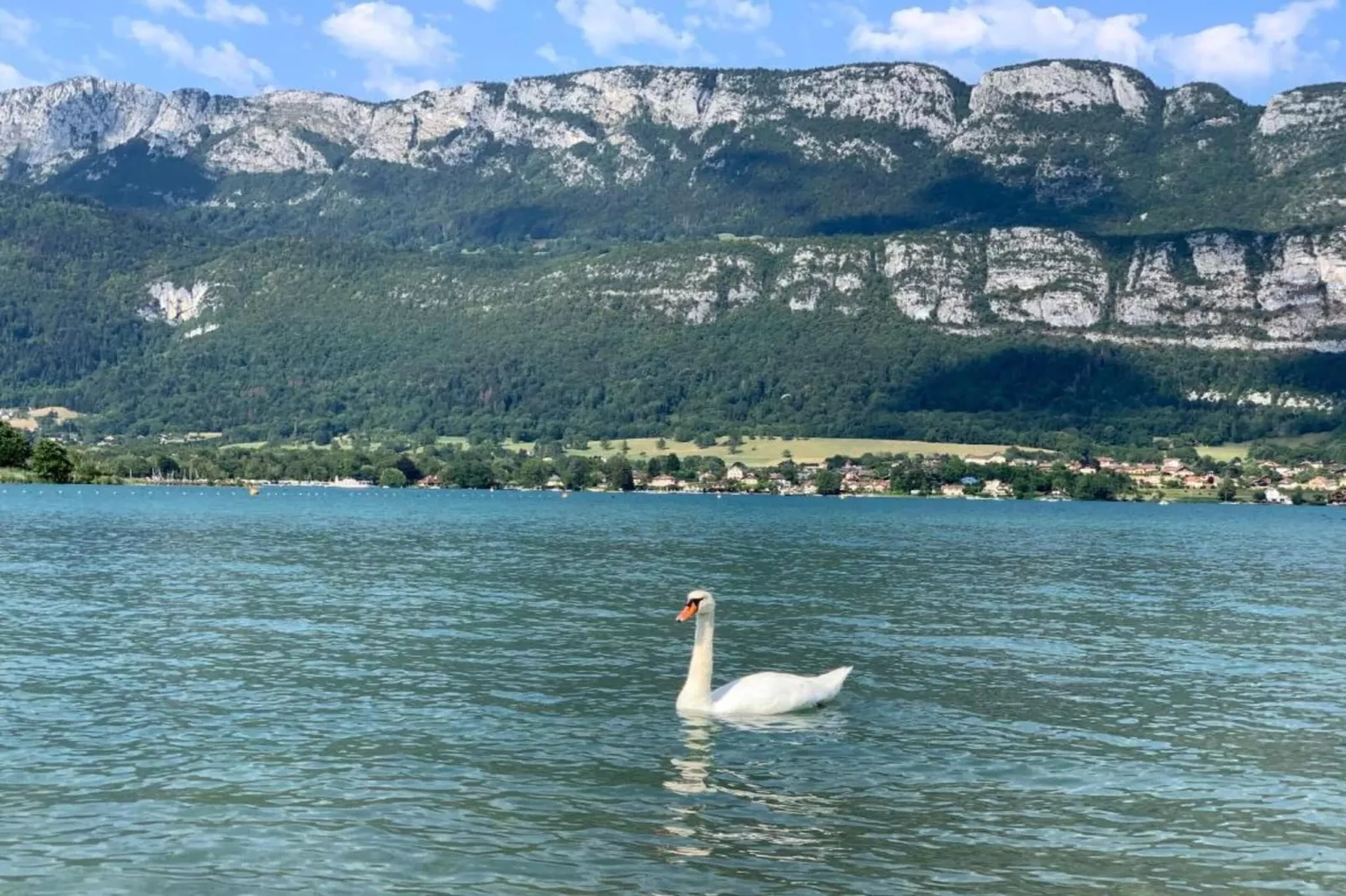 Le Birdie 1-Gebieden zomer 20km