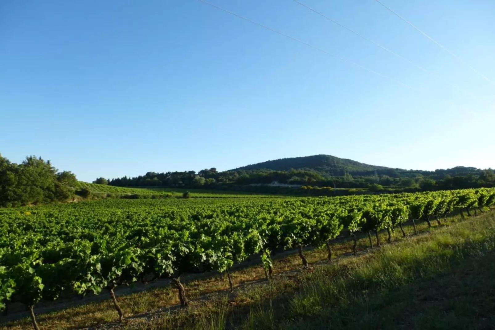 Appartement Geny Avignon-Gebieden zomer 20km
