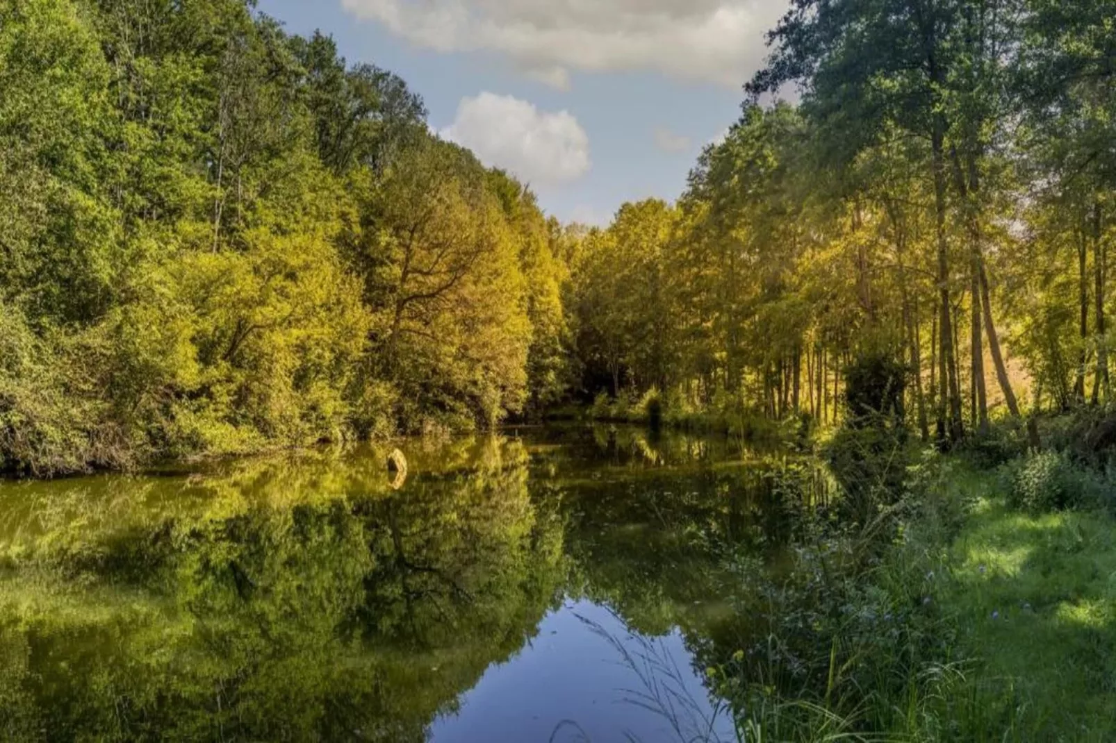Maison de vacances - LA CHAPELLE-AUX-BOIS-Gebieden zomer 5km