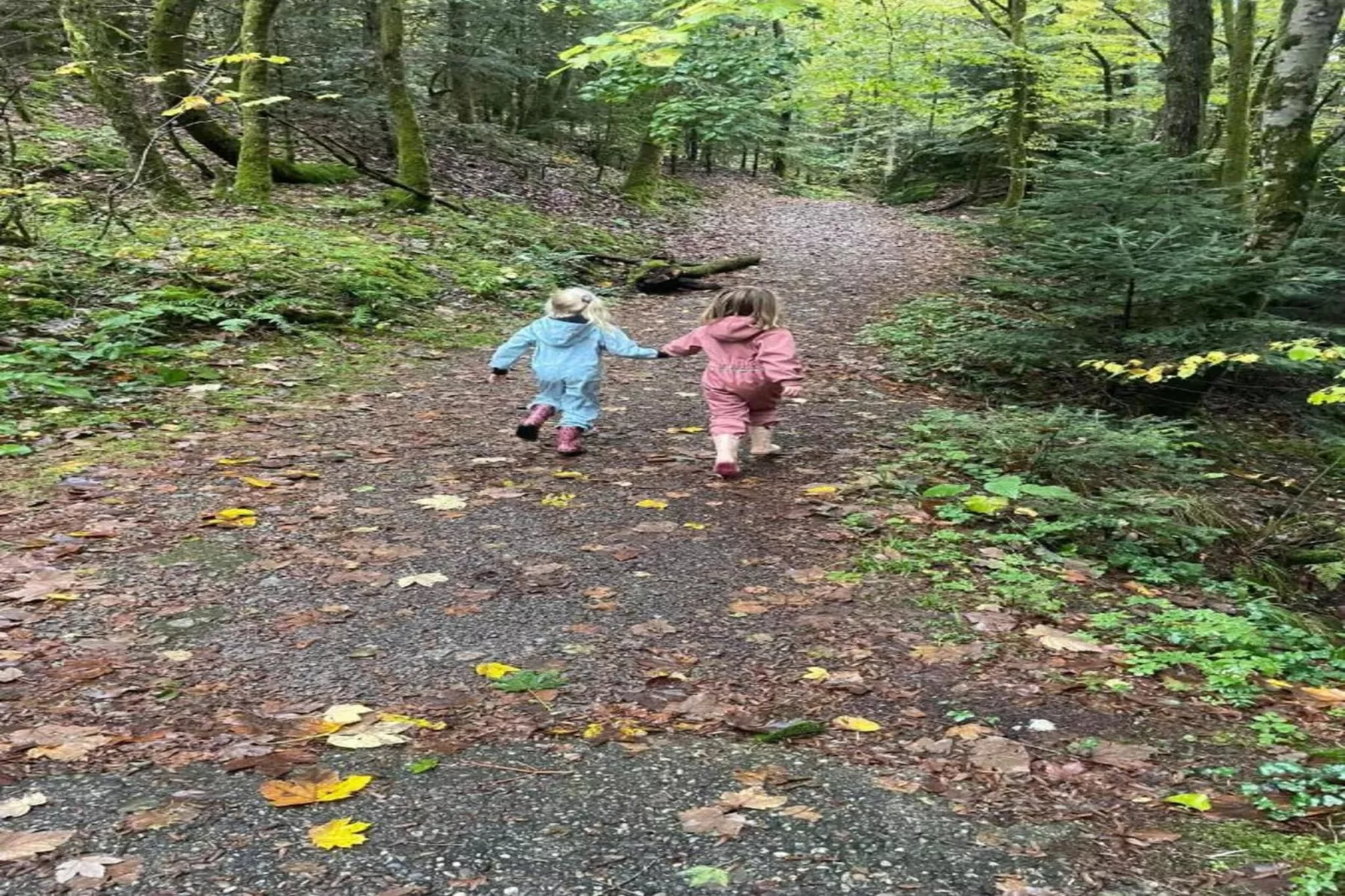 A l'Orée des Bois-Gebieden zomer 20km