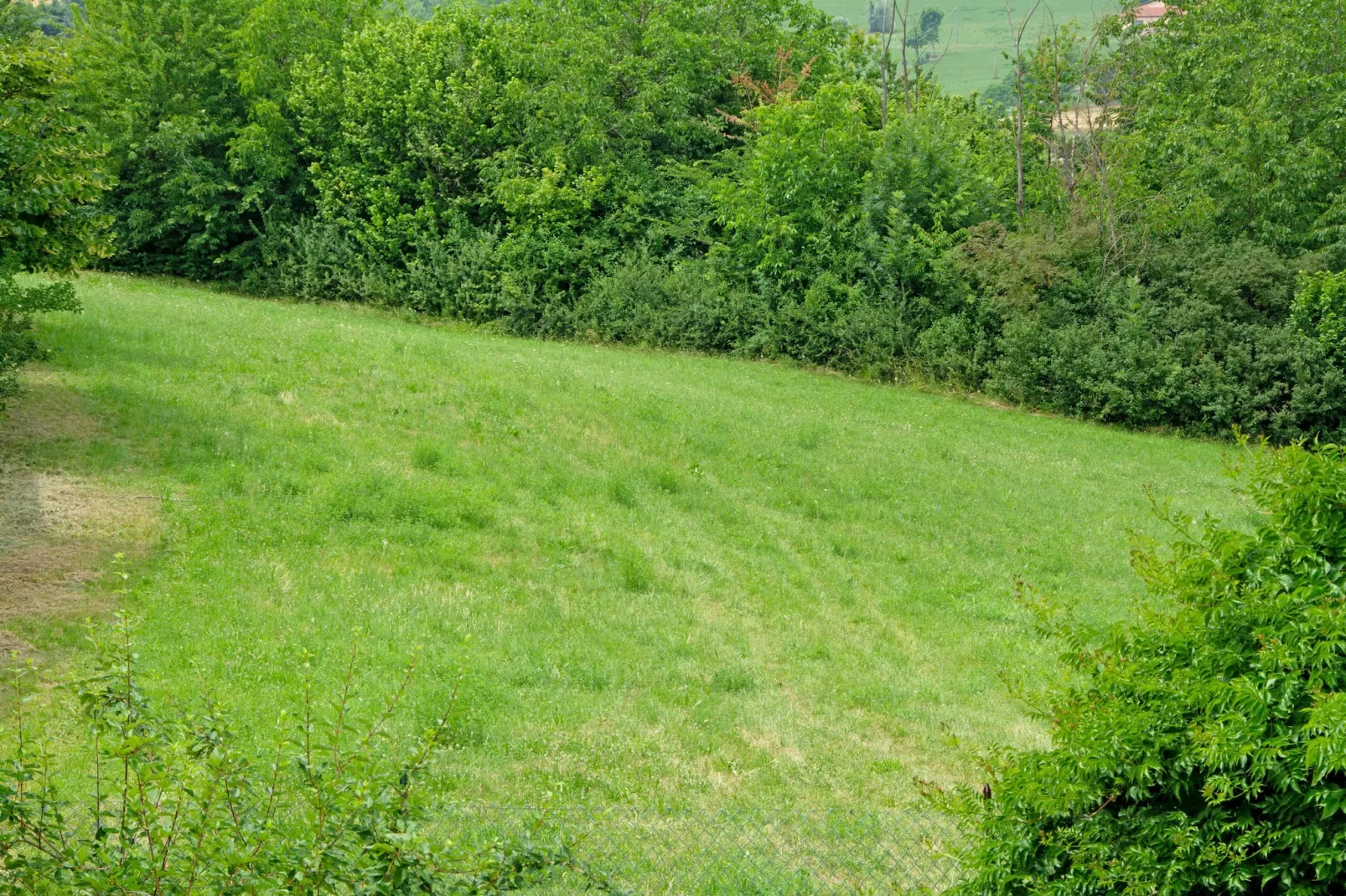 Casale Adriano Country House-Gebieden zomer 1km