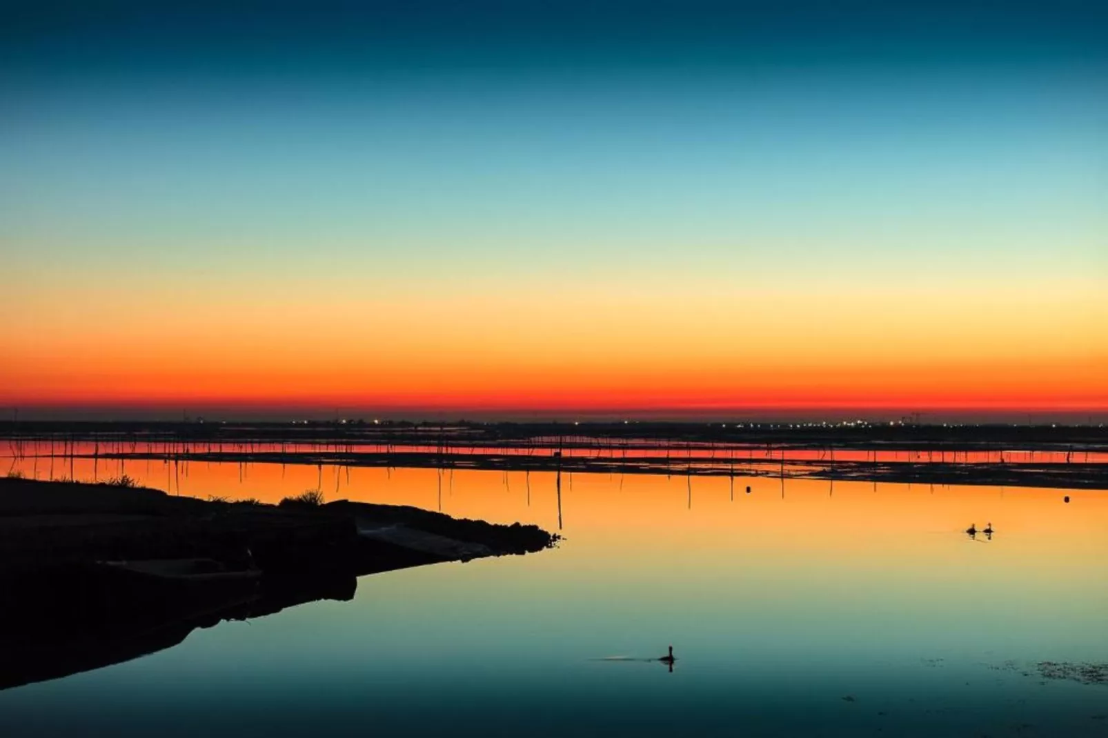 Ceseta 7-Gebieden zomer 1km