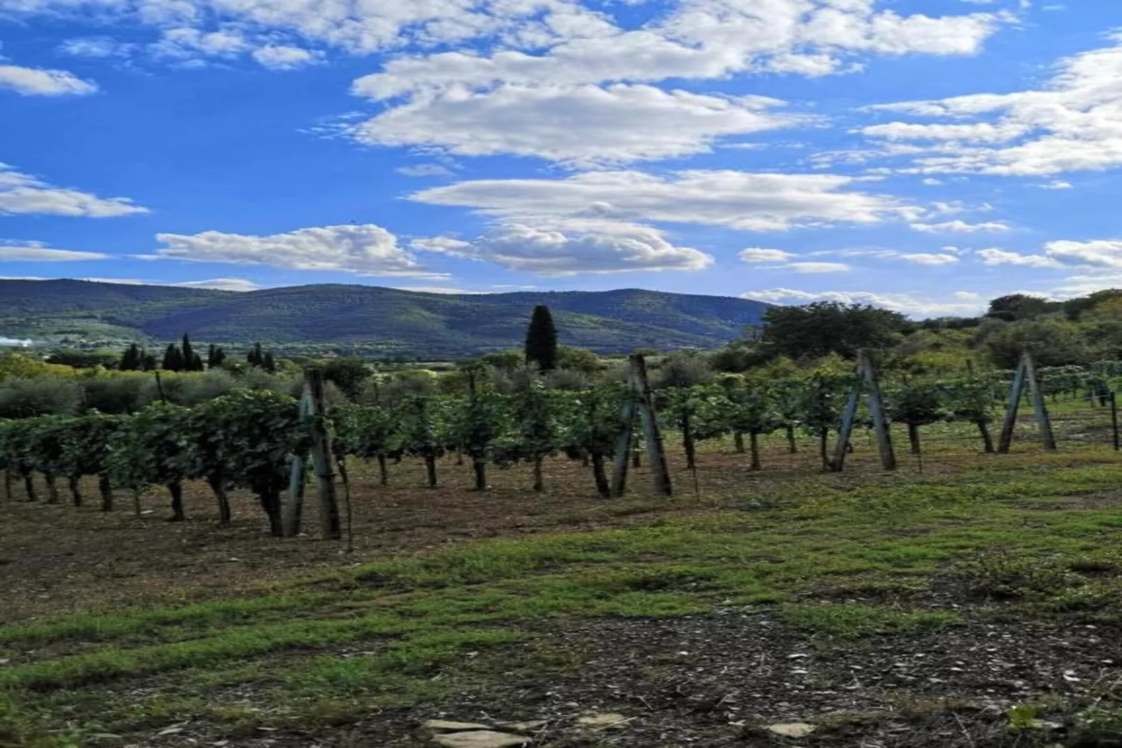 Giardino delle Giare-Gebieden zomer 20km