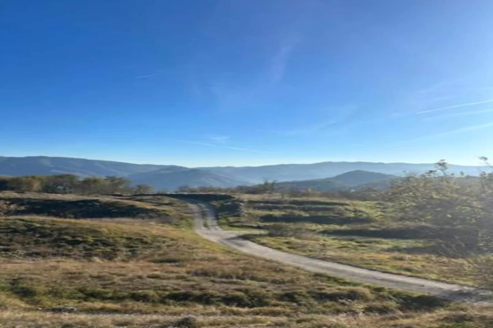Vignoli-Gebieden zomer 20km