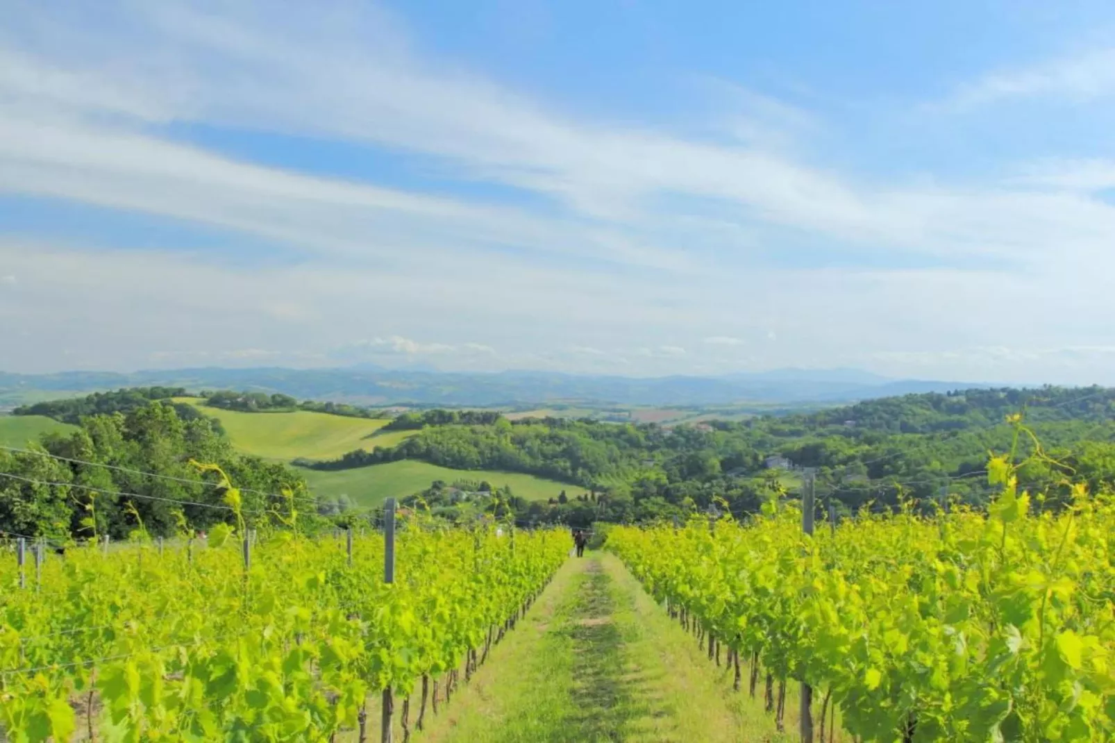 La Sibilla-Gebieden zomer 5km