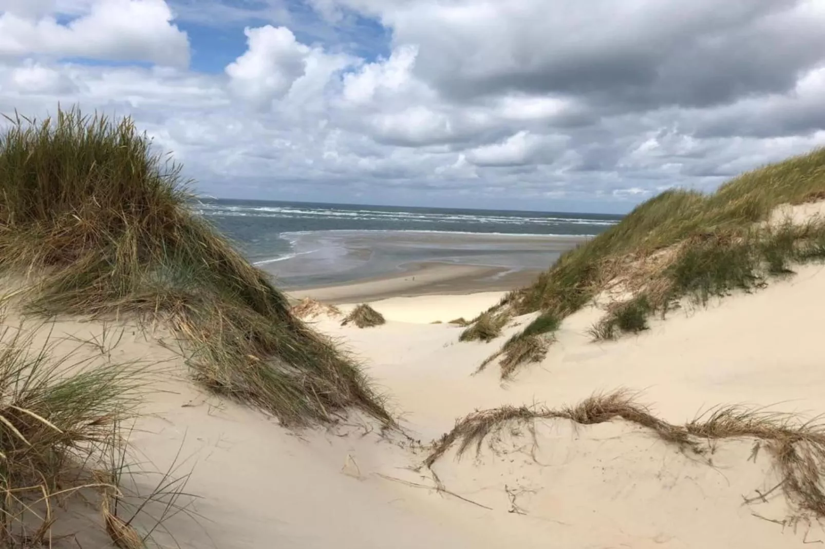 Duindroom op Terschelling-Gebieden zomer 20km