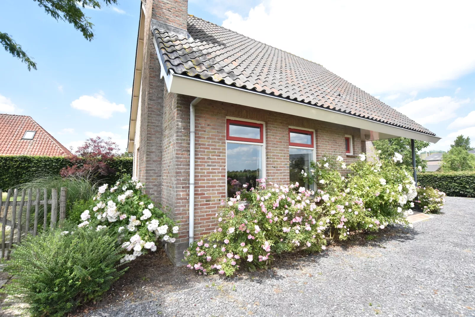De Biezenknop-Buitenkant zomer