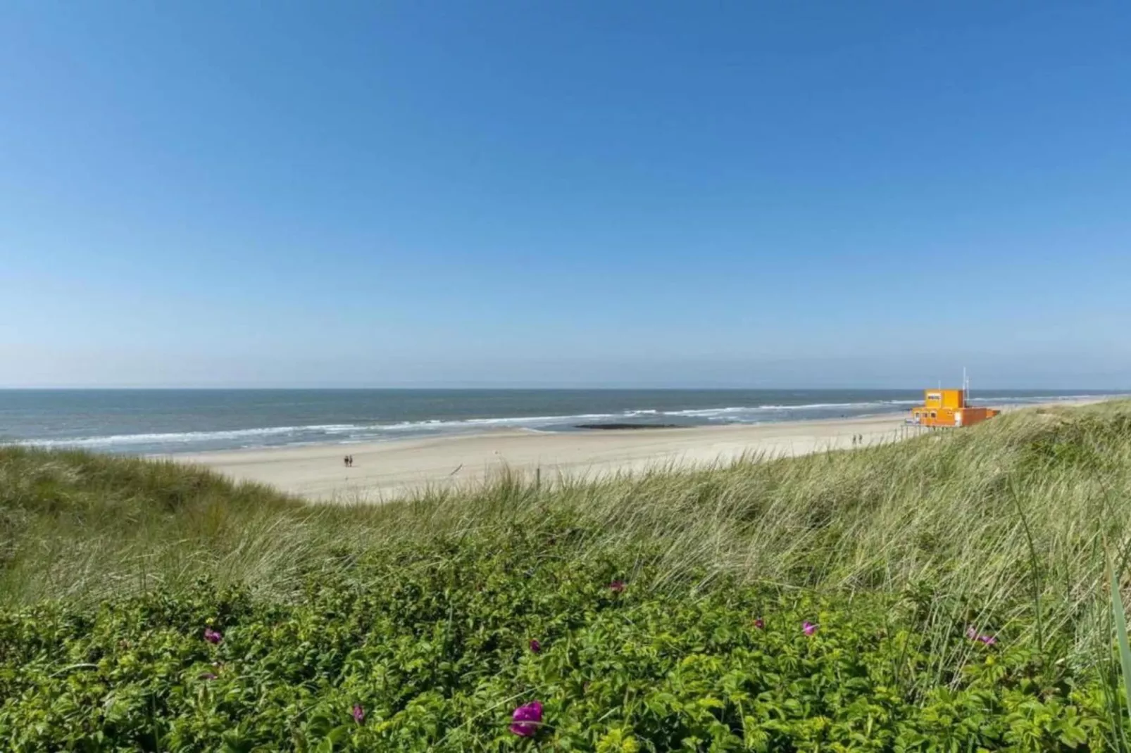 Zilte Bries-Gebieden zomer 20km