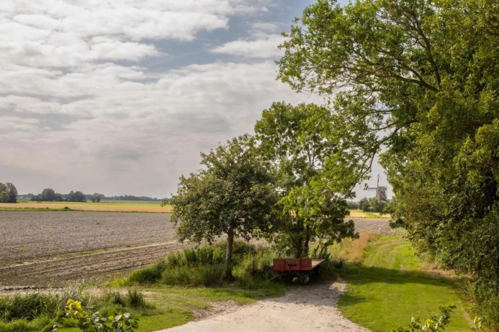 B&B boerderij Grutsk-Gebieden zomer 20km