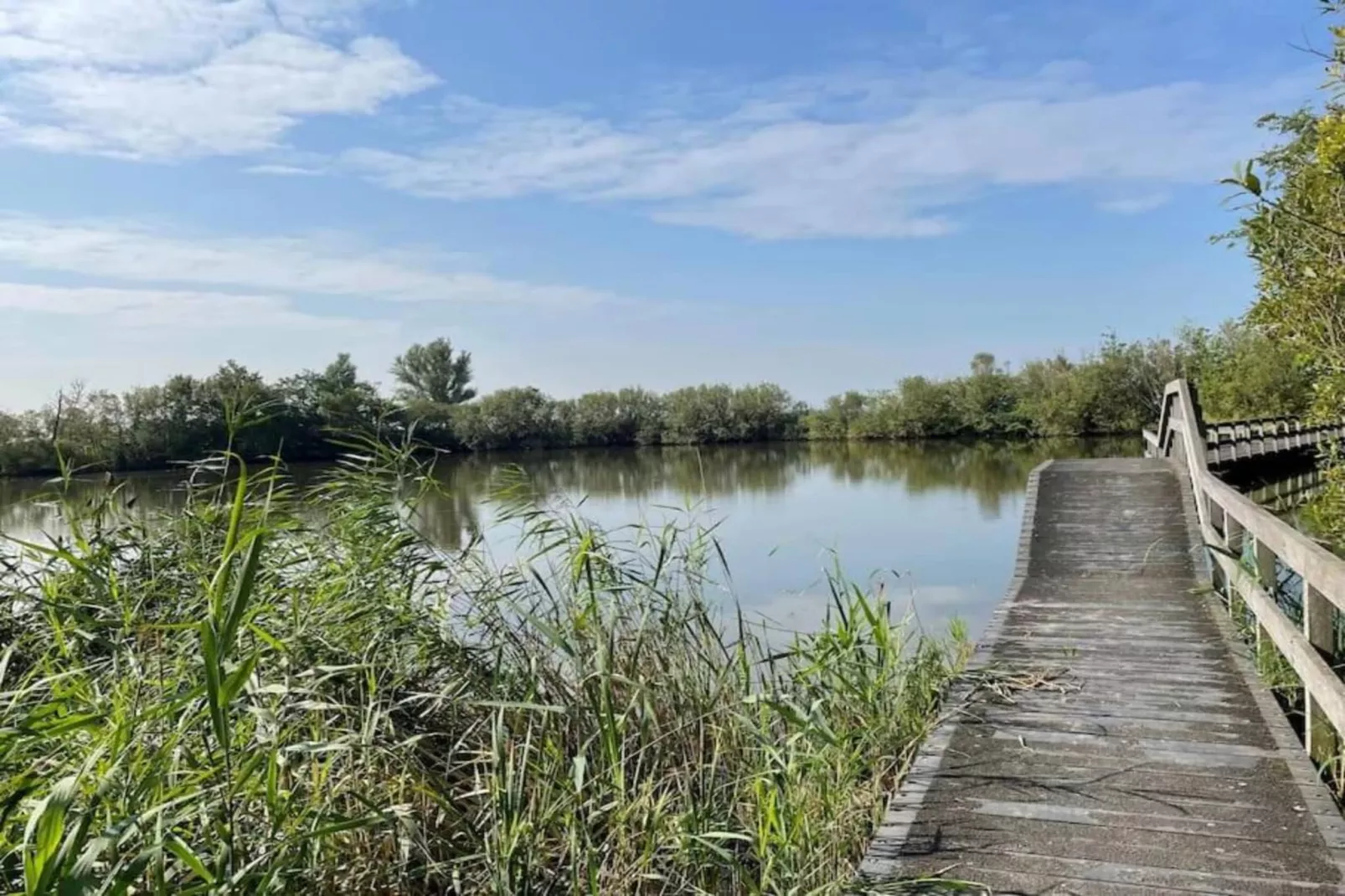 Vakantiehuis De Weide Blick-Gebieden zomer 5km