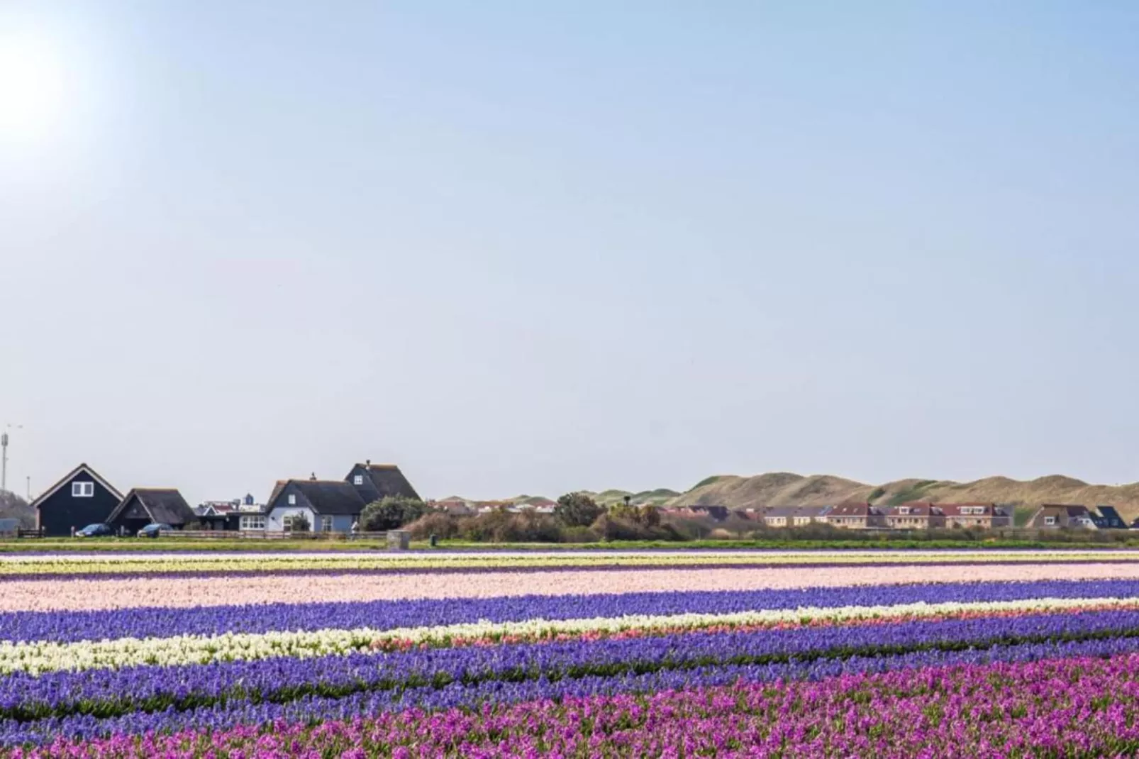 Resort Callantsoog 5-Gebieden zomer 20km