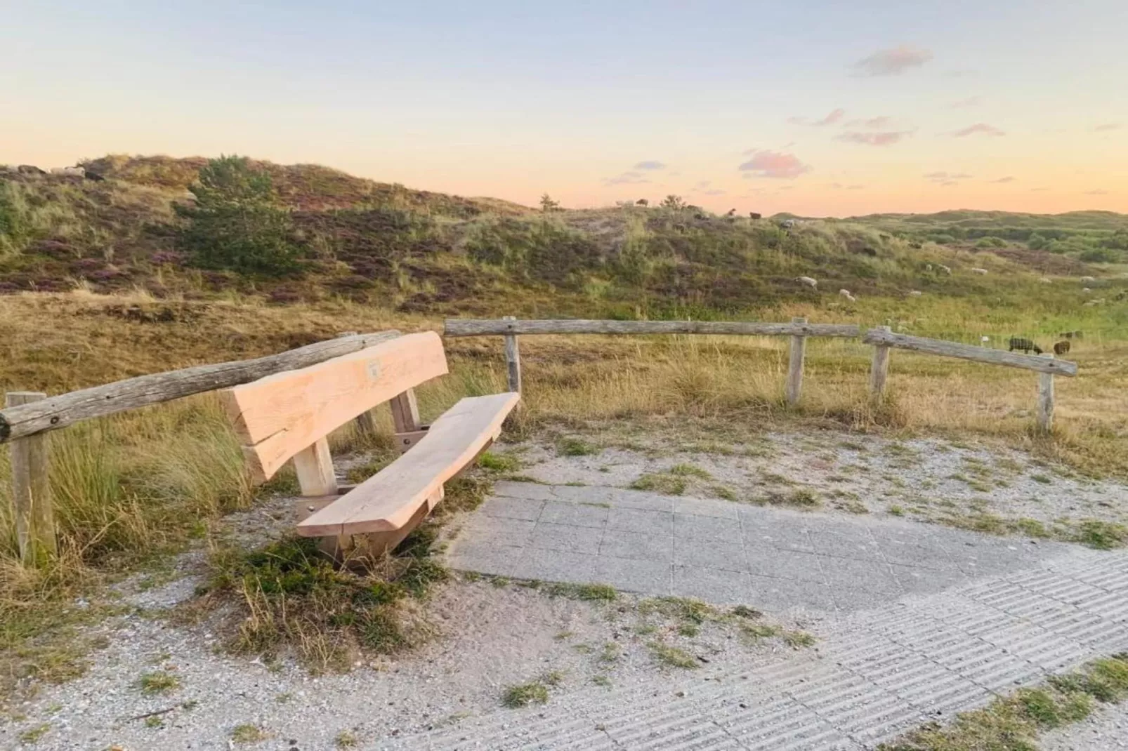 Residentie Californië 2-Gebieden zomer 20km
