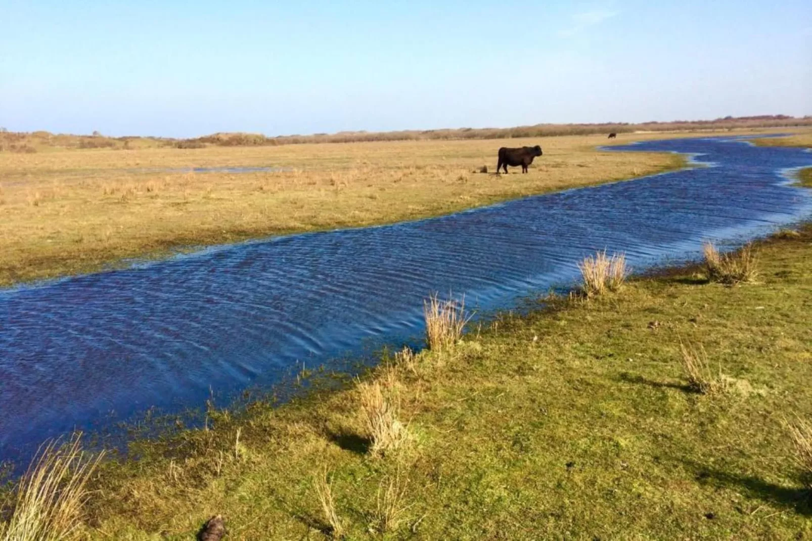 Villapark De Koog 2-Gebieden zomer 20km