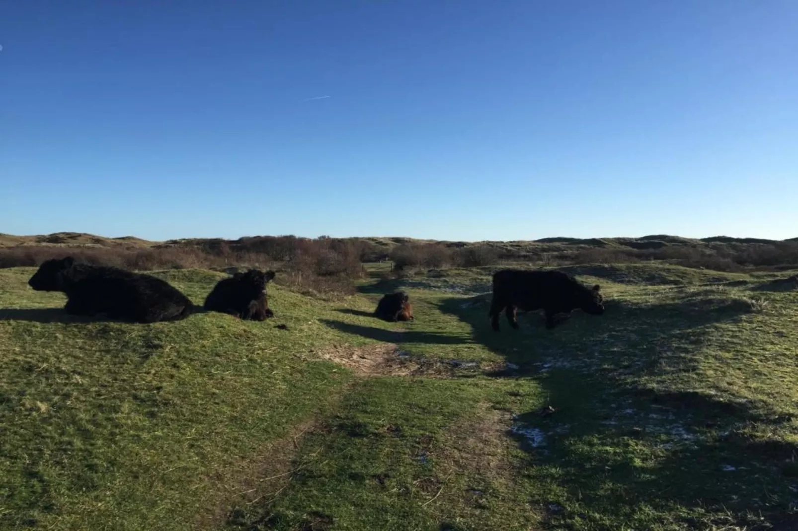 Kustpark Texel 12-Gebieden zomer 20km