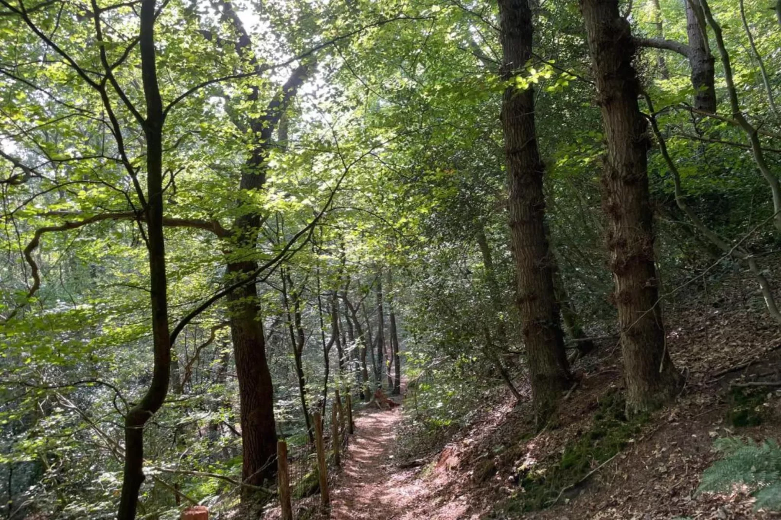De Beukelaar 4 pers-Gebieden zomer 20km