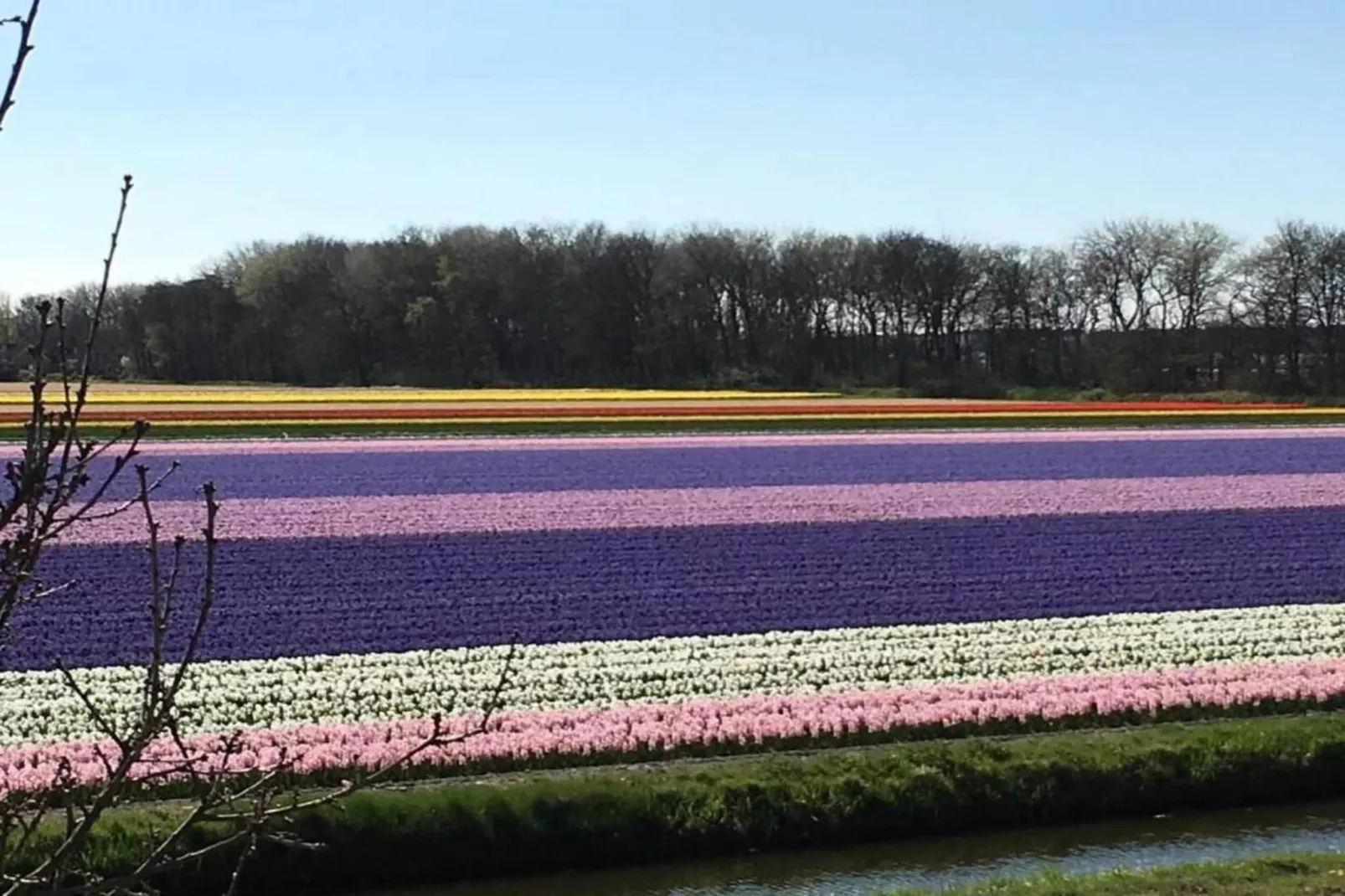 't Zeepaardje-Gebieden zomer 20km
