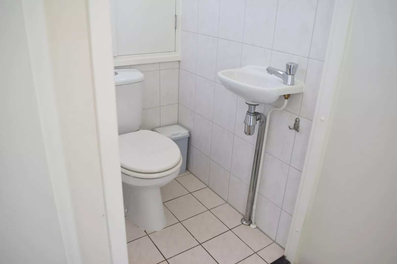 Recreatiepark de Boshoek 11-Badkamer