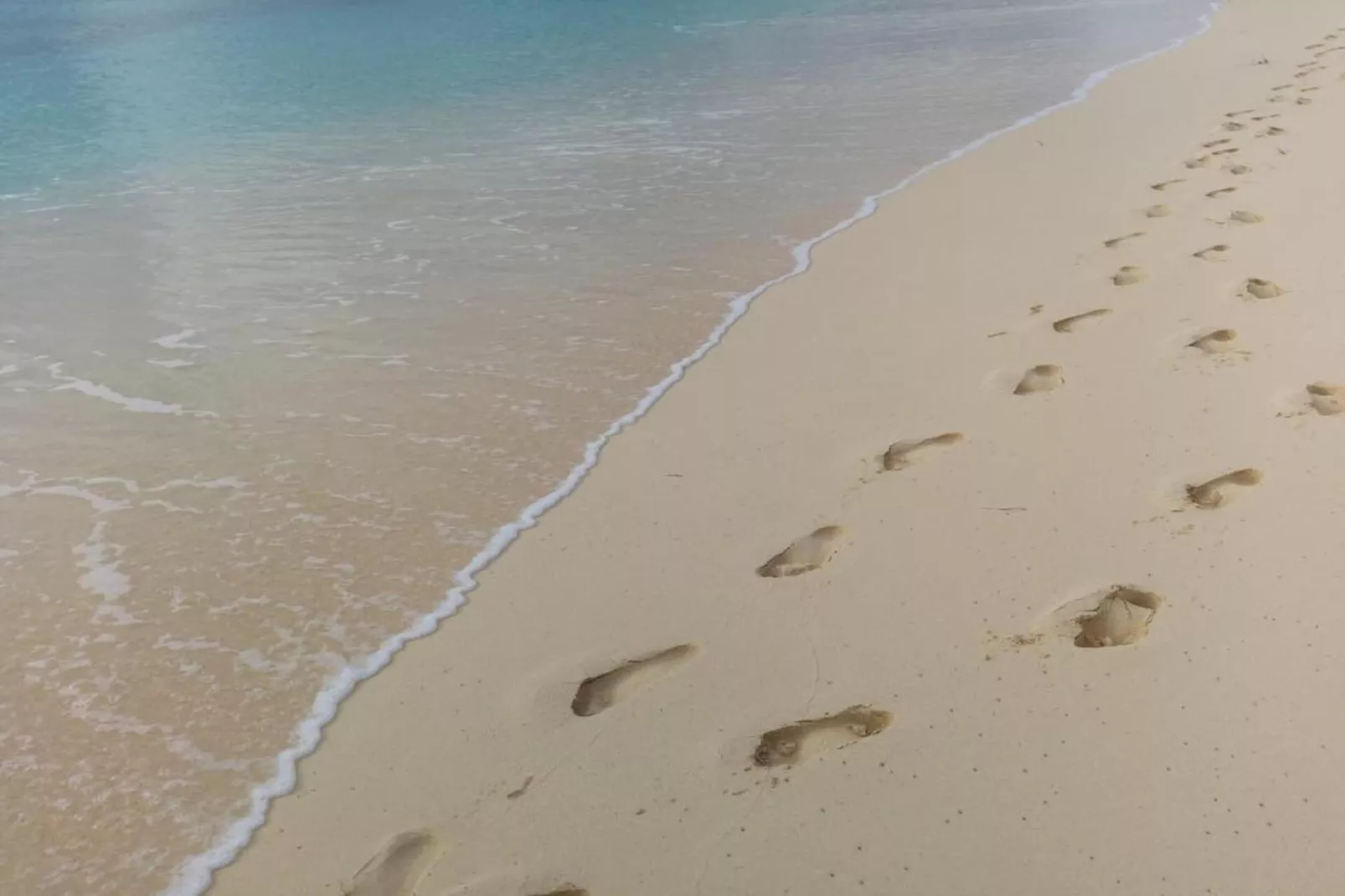 Vakantiehuis Noordendolfer 2 huisje 49-Gebieden zomer 1km