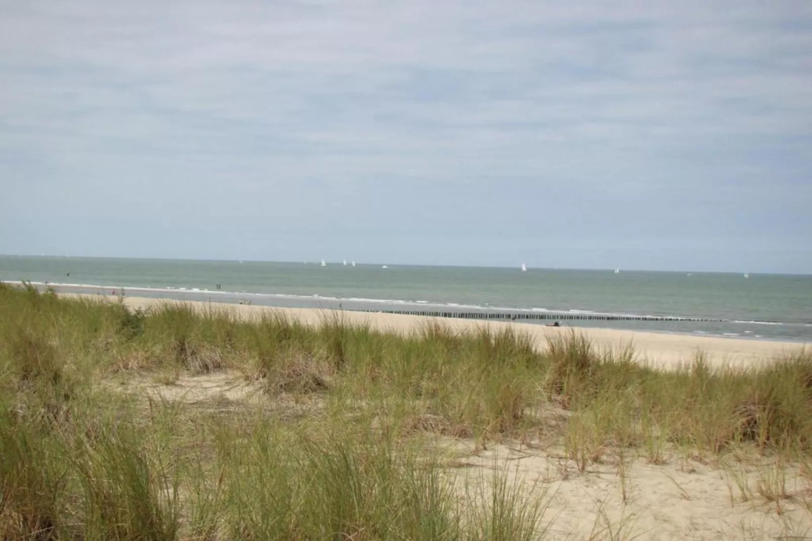 Groot Hof ter Zand-Gebieden zomer 20km