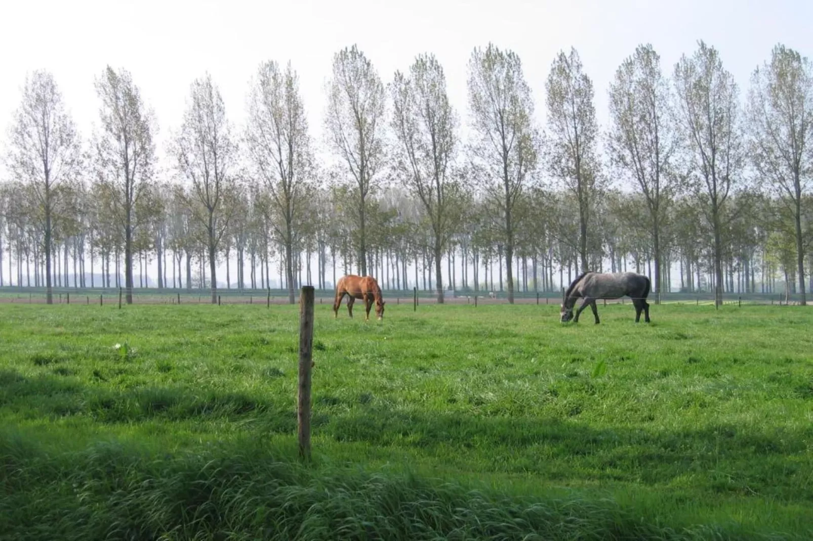 Appartement De Hooizolder-Gebieden zomer 20km