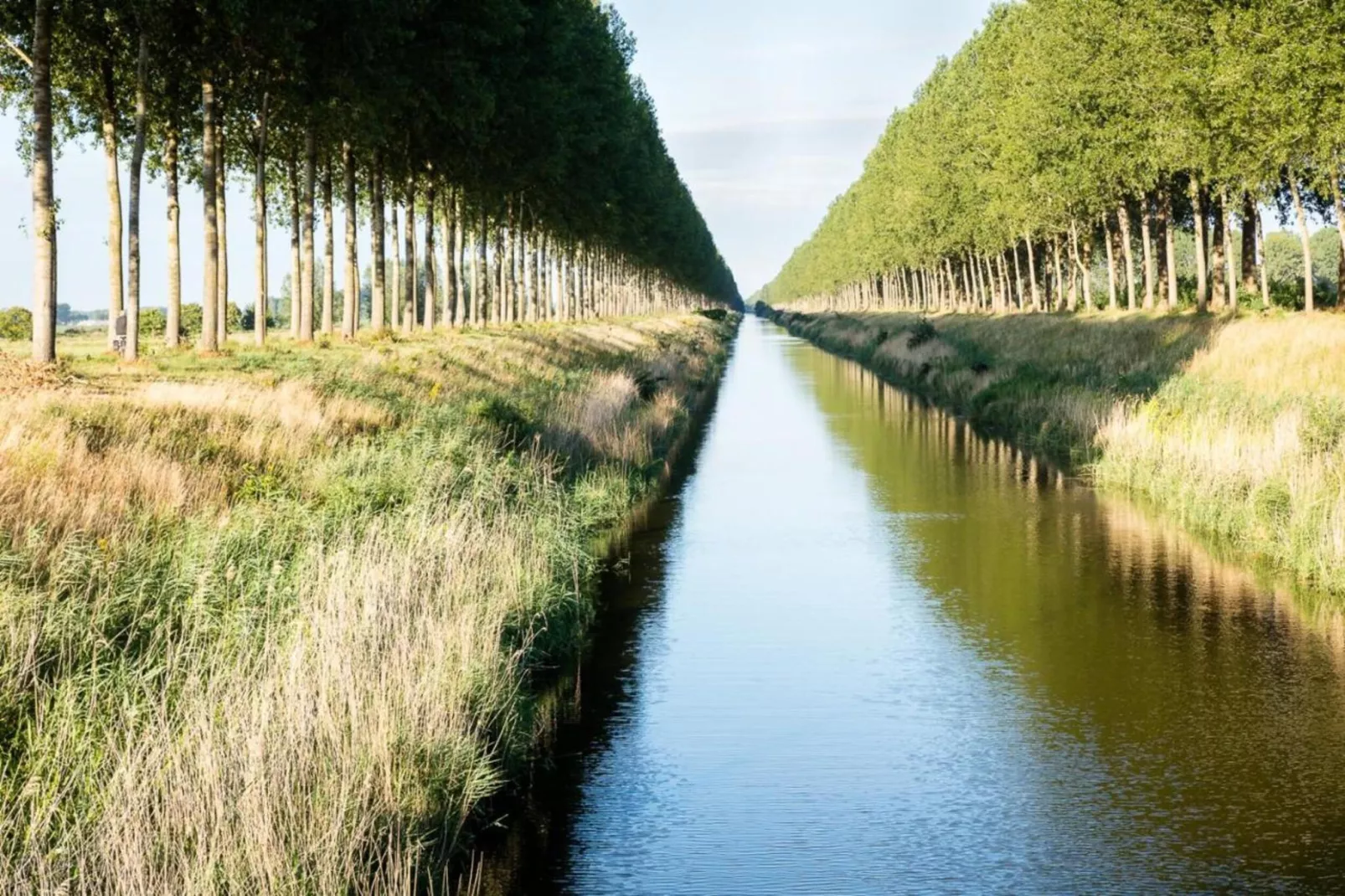 De Biezenpolder 't Groothuus-Gebieden zomer 20km