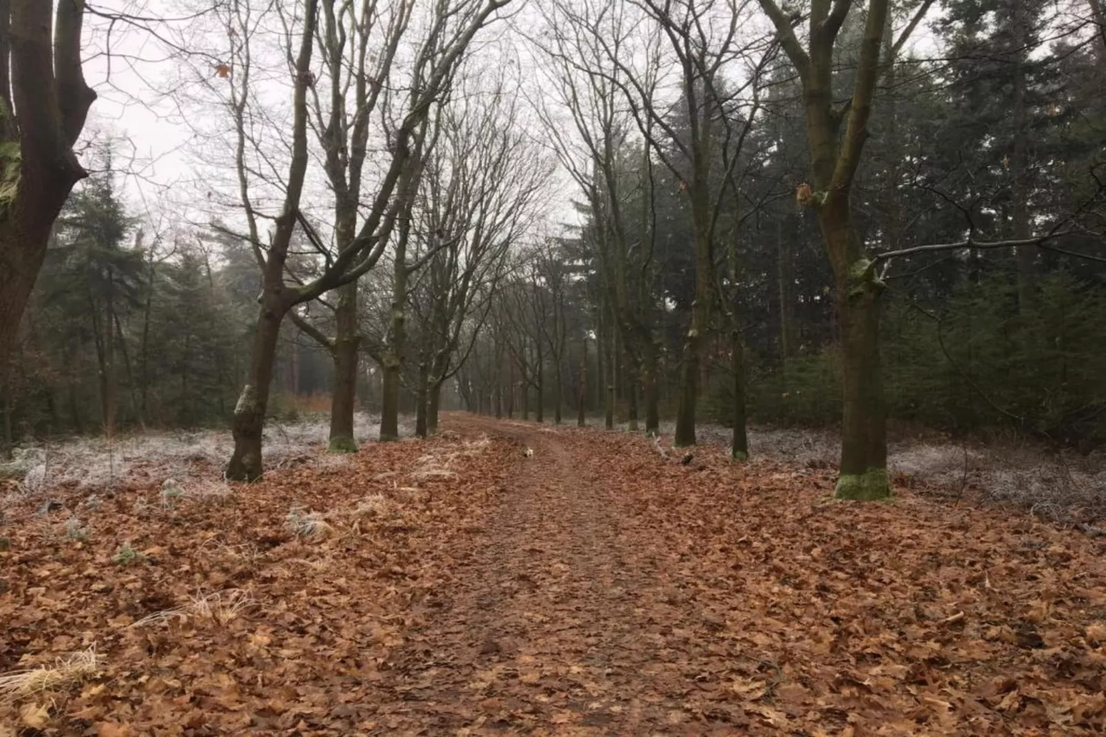 Dorpswoning De Plek-Gebieden zomer 20km