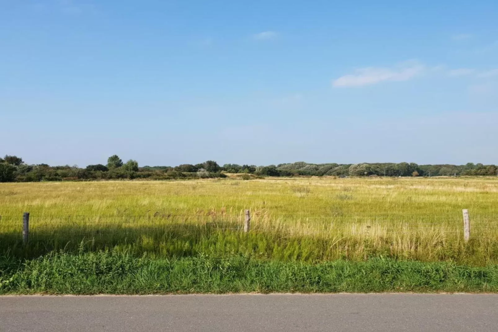 Naast het Bollenveld-Gebieden zomer 20km