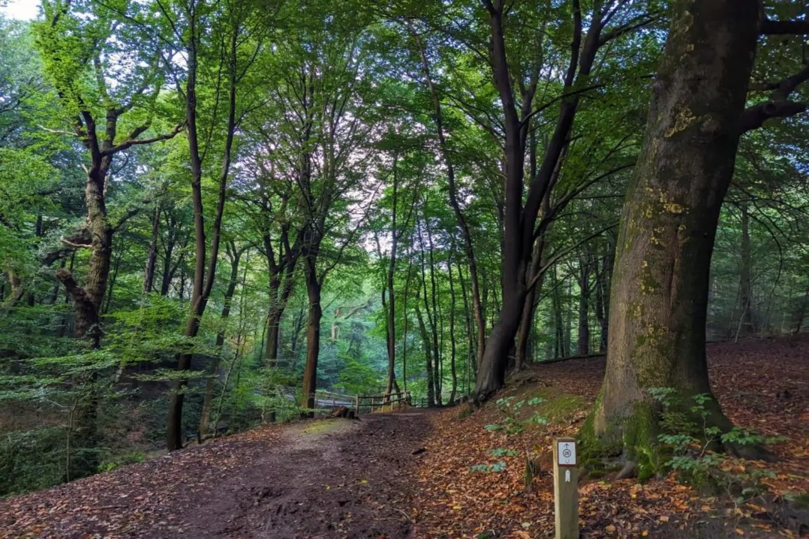 Vakantie bij Meeussen - Molendal 2-Gebieden zomer 20km