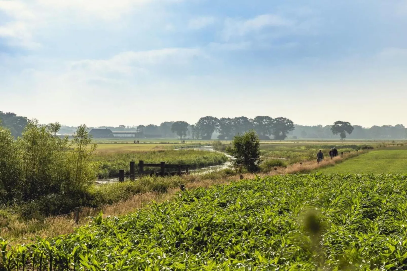 Vakantiepark Mölke 32-Gebieden zomer 20km