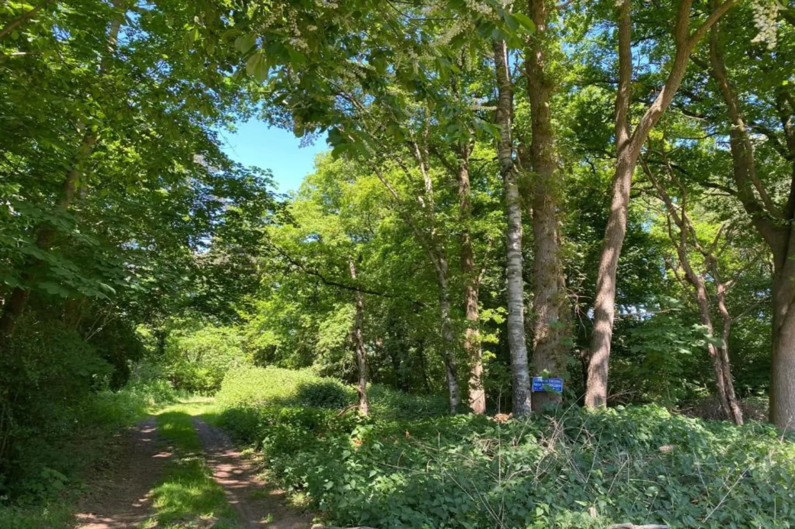 De ouwe diepvries-Gebieden zomer 20km