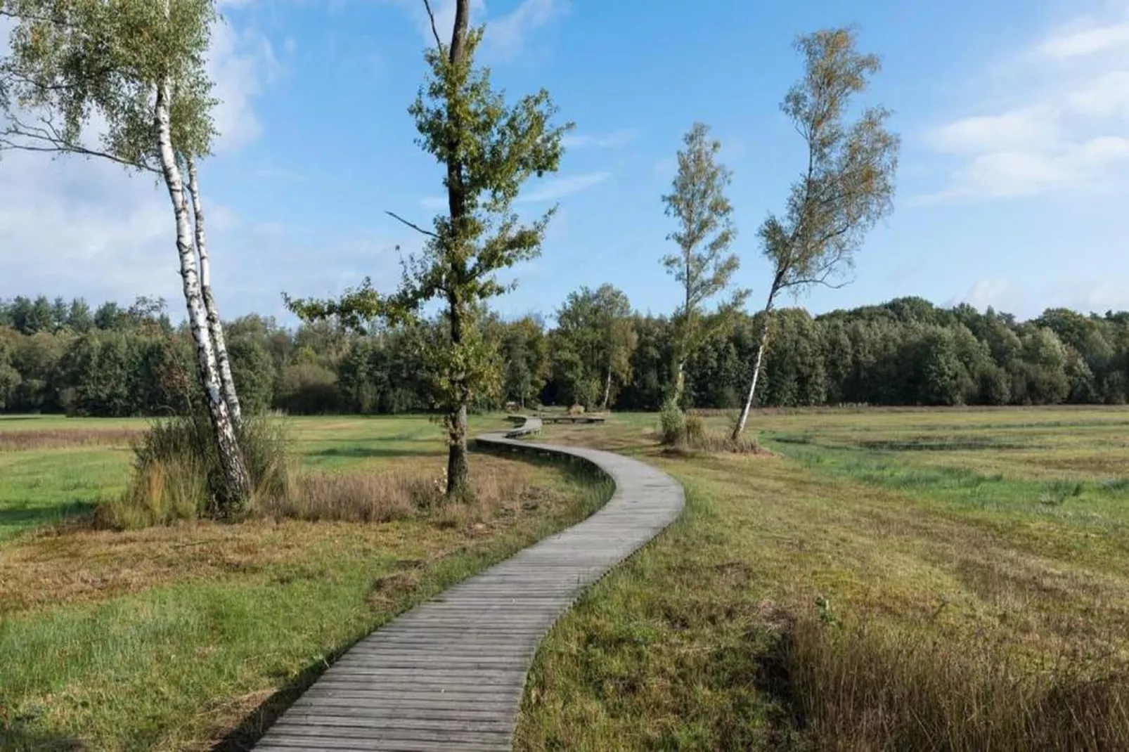 Bospark de Schaapskooi 9-Gebieden zomer 20km