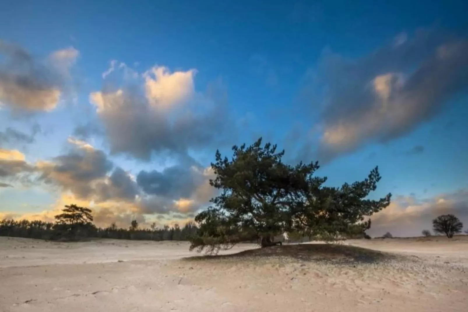 Chalet in Vledder-Gebieden zomer 20km