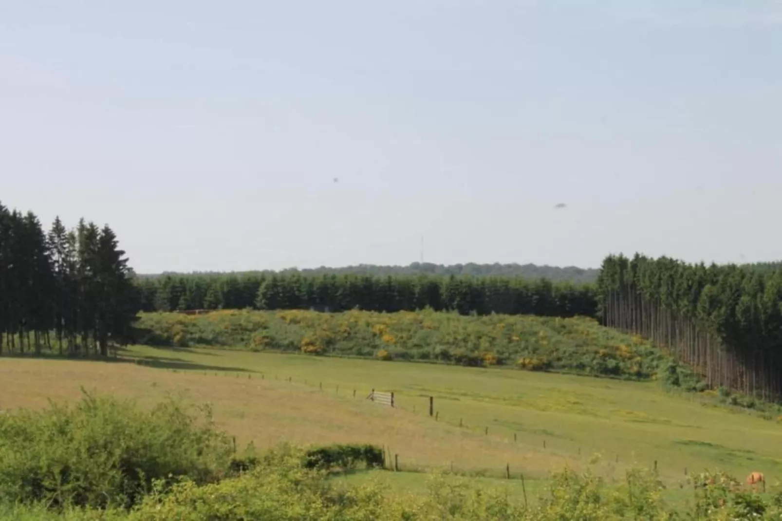 Résidence de Weerribben 3-Gebieden zomer 5km