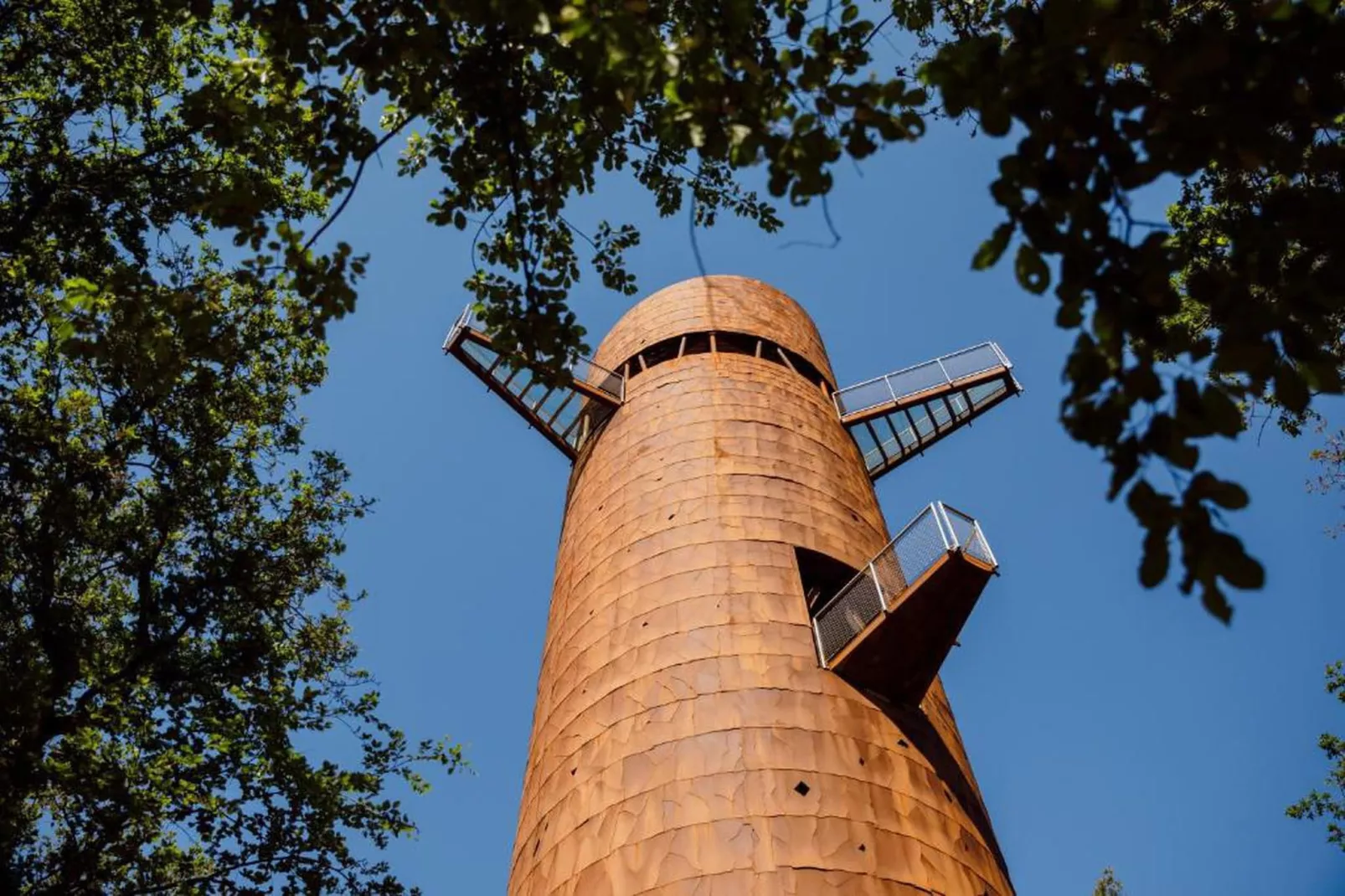 RCN Vakantiepark de Roggeberg 5-Gebieden zomer 20km