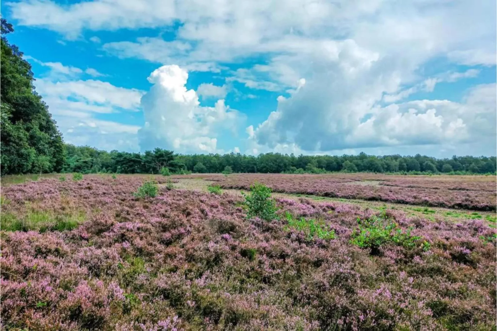 Vakantiepark Hunzedal 16-Gebieden zomer 20km